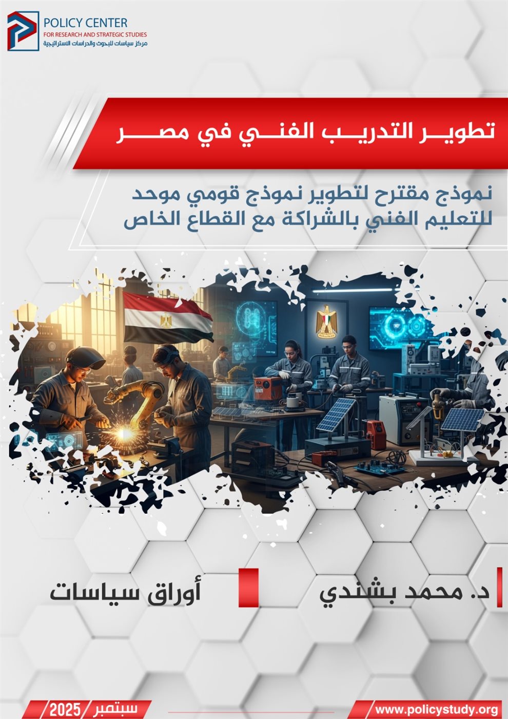 تطوير التدريب الفني في مصر